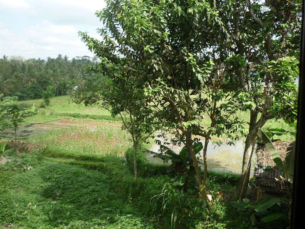 Kudos Guesthouse Ubud المظهر الخارجي الصورة