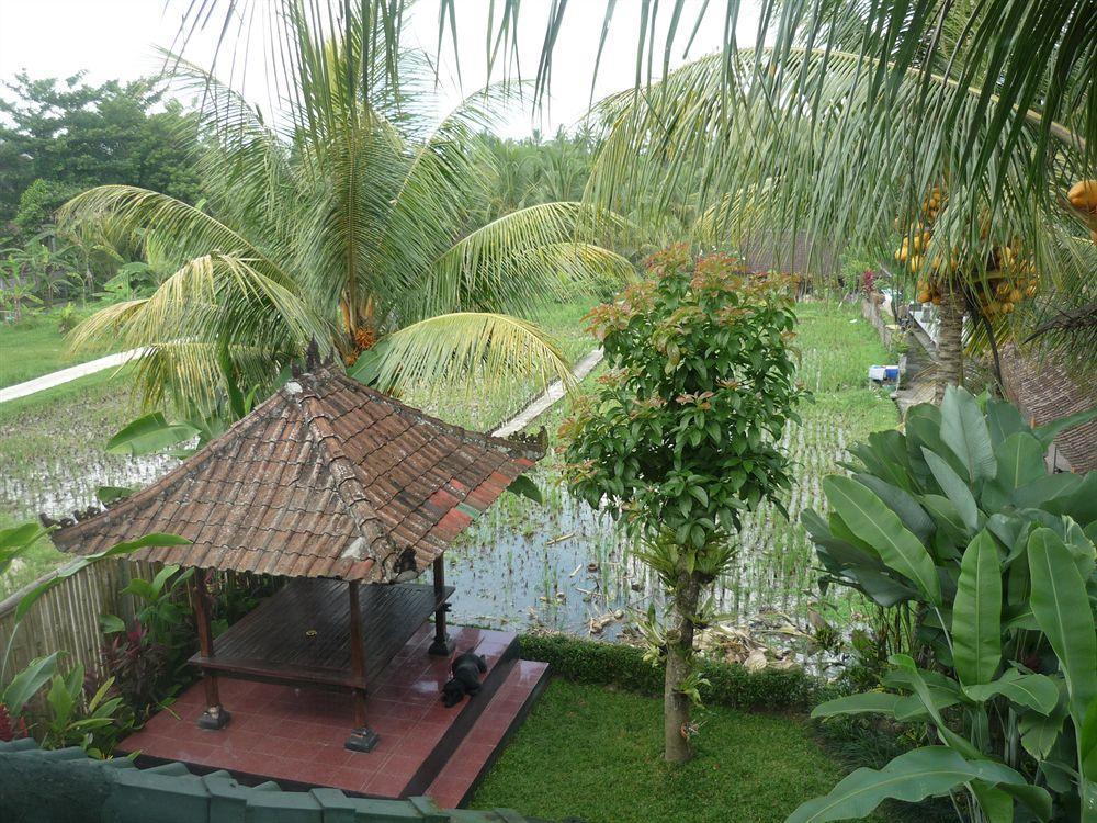 Kudos Guesthouse Ubud المظهر الخارجي الصورة